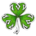 Shamrock Protection Services